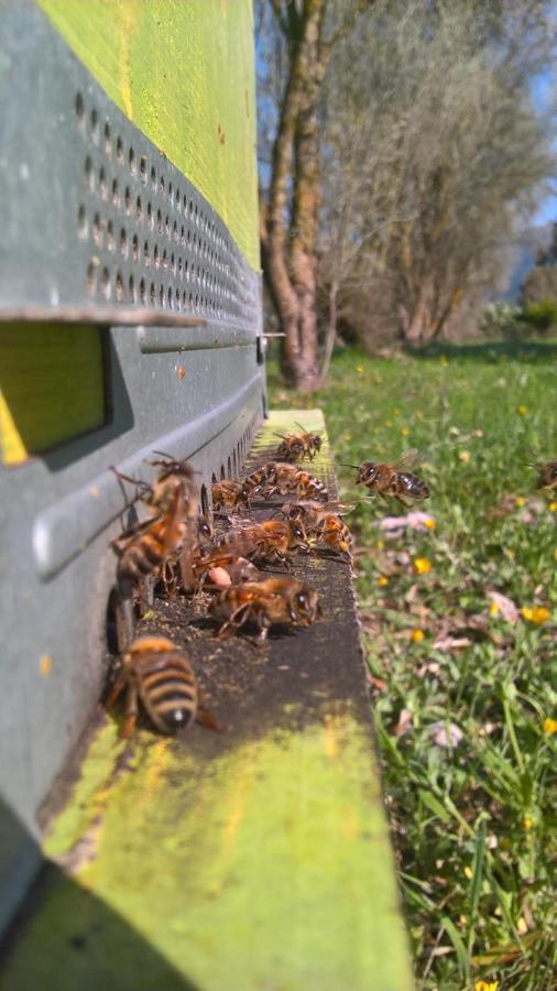 B&B Terra E Paglia Marrùbiu Zewnętrze zdjęcie