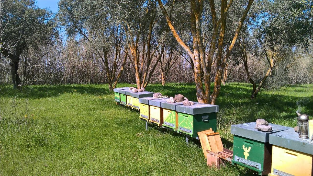 B&B Terra E Paglia Marrùbiu Zewnętrze zdjęcie